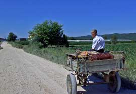 Albanien_Motorrad_a.jpg