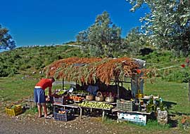 Marktstand_am_Wegesrand