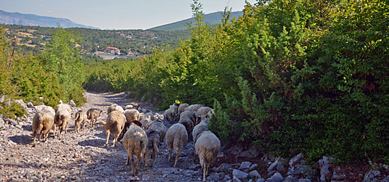 Albanien Offroad