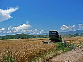 Albanien_Enduro_i.jpg