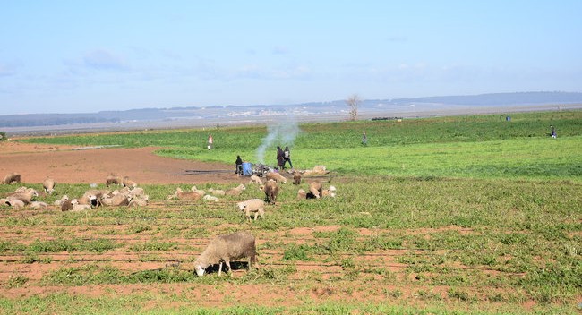 Premières impressions des paysages verdoyants du nord du Maroc pendant notre voyage à moto