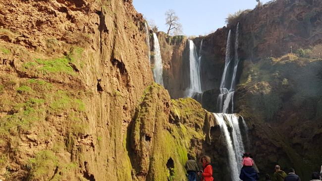 Les cascades d’Ouzoud plongent entre les rochers et la végétation verdoyante