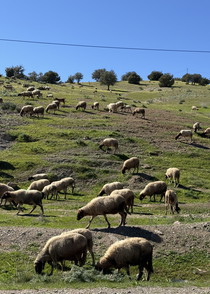 Autre aperçu de notre destination dans le Moyen Atlas marocain