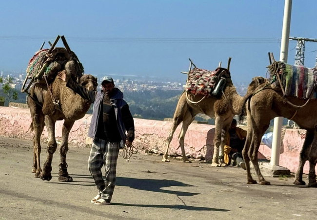 De Safi vers l’intérieur des terres Route à l’intérieur des terres entre Safi et Essaouira