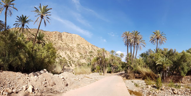À travers les plantations de bananes et les oasis de palmiers Itinéraire moto à travers un arrière-pays verdoyant avec des plantations de bananes et des oasis de palmiers