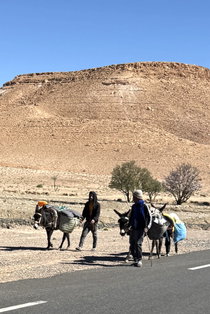 Voyage à moto au Maroc MM7 – Petits bungalows à notre étape du jour Vue sur un hébergement au cadre naturel, avec de petits bungalows et une atmosphère détendue