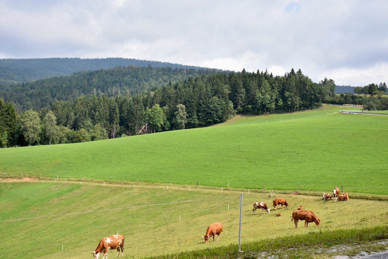 Motorradreisebericht Slowenien durch den Osten nach Maribor
