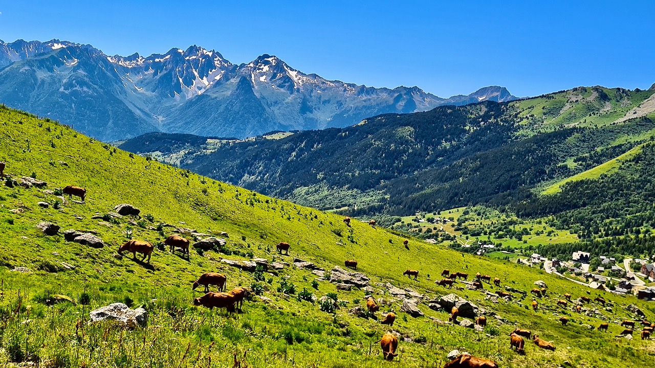 Motorrad Touren in den Seealpen französische Alpen