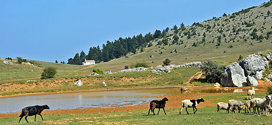 Hochplateau Peleponese