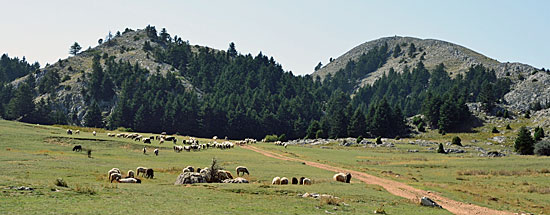 Hochplateau Peleponese