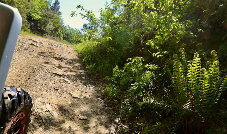 gn11   2 von gn11   2 von