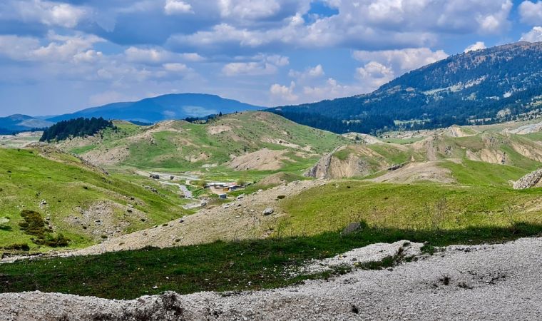 gn17   4 von gn17   4 von