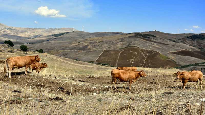 Einsiedler und Seepiste