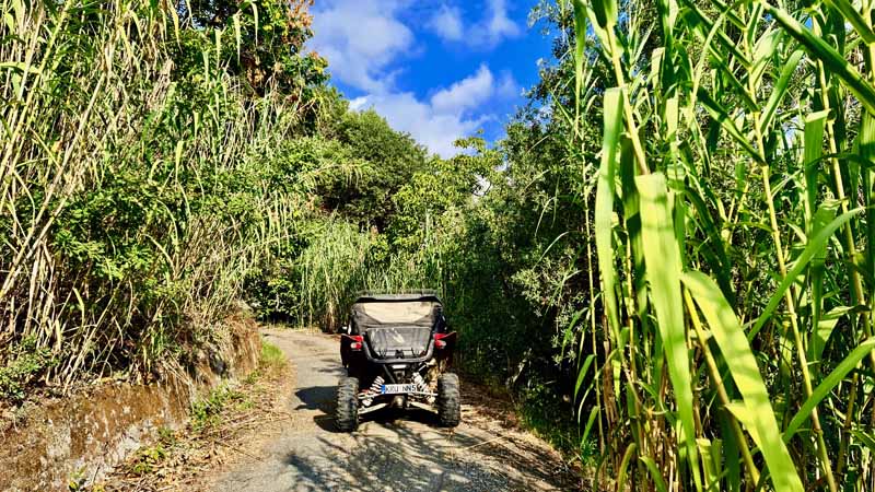 Kastanien Offroadtour auf Sizilien