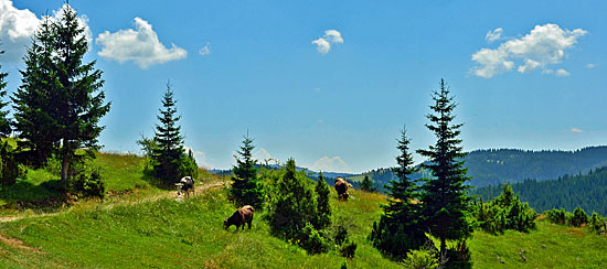 Montenegro Offroadstrecken