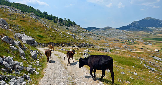 Montenegro Schotterpisten