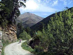 P1.htm13.jpg