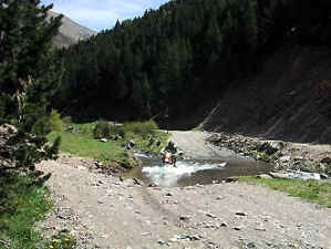 P1.htm15.jpg