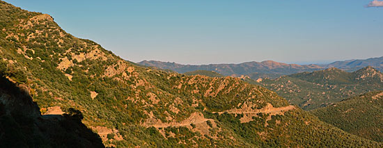 P78_ff.jpg