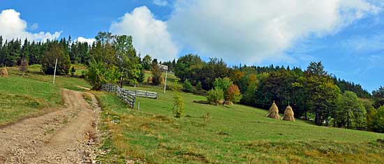  Feldwege durch das Almgebiet