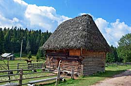  Motzenhaus als Museum