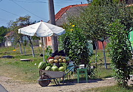Wassermelonen Rumaenien