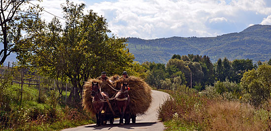Pferdefuhrwerke Rumänien