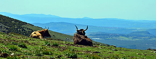 Sardinien Reiseenduro