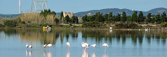 Sardinien Hotel