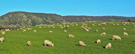 Sardinien hochebene