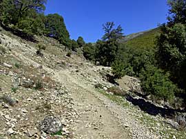 enduro_sardinien_g.jpg