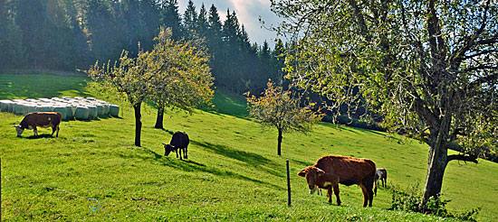 Panoramastrecken Slowenien