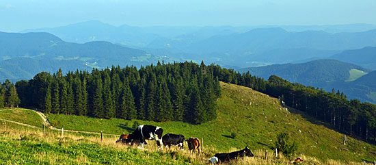 Offroadpisten Slowenien