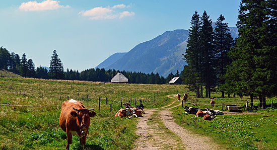 Offroadpisten Slowenien