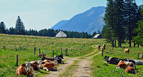 Offroadpisten Slowenien
