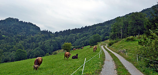 Offroadpisten Slowenien