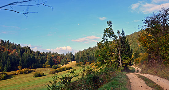 TomTom Strecken Slowenien