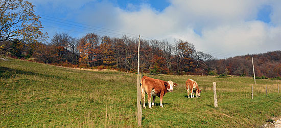 triglav Slowenien