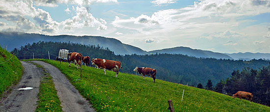 allradstrecken Slowenien