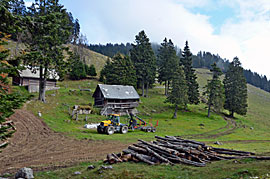 Slowenien Wälder