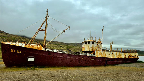 Zu den Papageientauchern auf den Westfjorden von Island