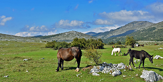 BMW Adventure Kroatien 1