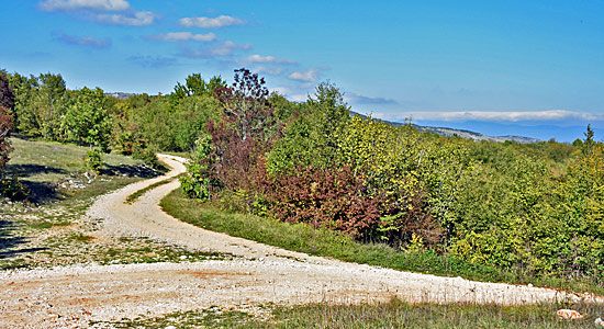 Triumph Tiger Adventure Kroatien