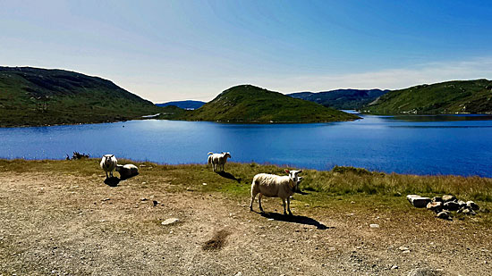 Motorradtour durch eine Traumlandschaft in Norwegen