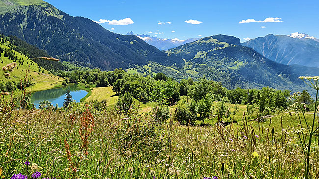 kleine Schotter Pässe durch die Seealpen oder Westalpen die gehen über die Schweiz, Frankreich und Italien