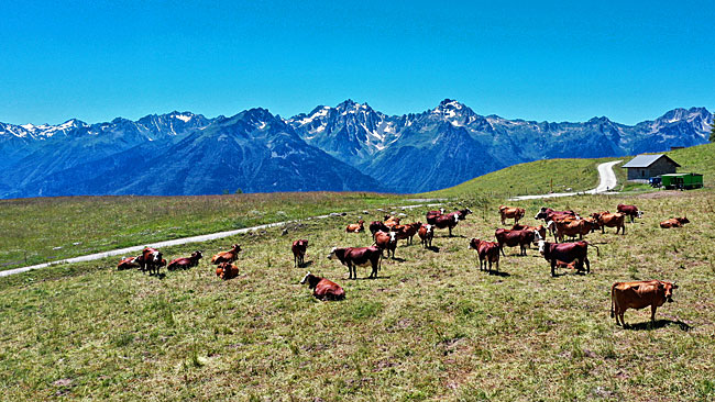 kleine Schotter Pässe durch die Seealpen oder Westalpen die gehen über die Schweiz, Frankreich und Italien