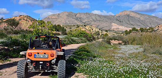 Arizona Offroad