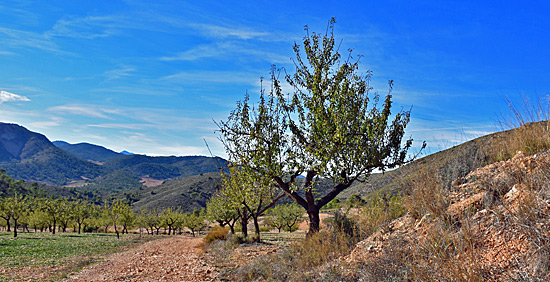 Reiseenduro Spanien