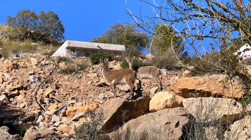 Sierra Lucar is an off-road track in Spain (Andalusia)