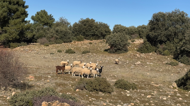 In Andalusia, the route goes through the Sierra de Huetor (southern Spain), a great off-road route along the Sierra Nevada.